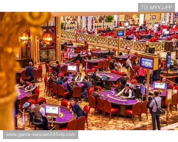 嘉华国际赌场:探索赌场的科技创新应用,带来更公平透明的游戏环境 嘉华国际赌场:探索赌场的科技创新应用,带来更公平透明的游戏环境