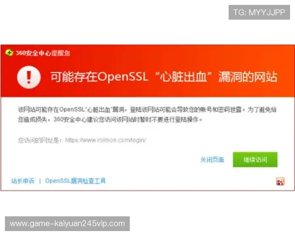 百家乐网站安全漏洞检测与防范技术全景介绍保障玩家权益